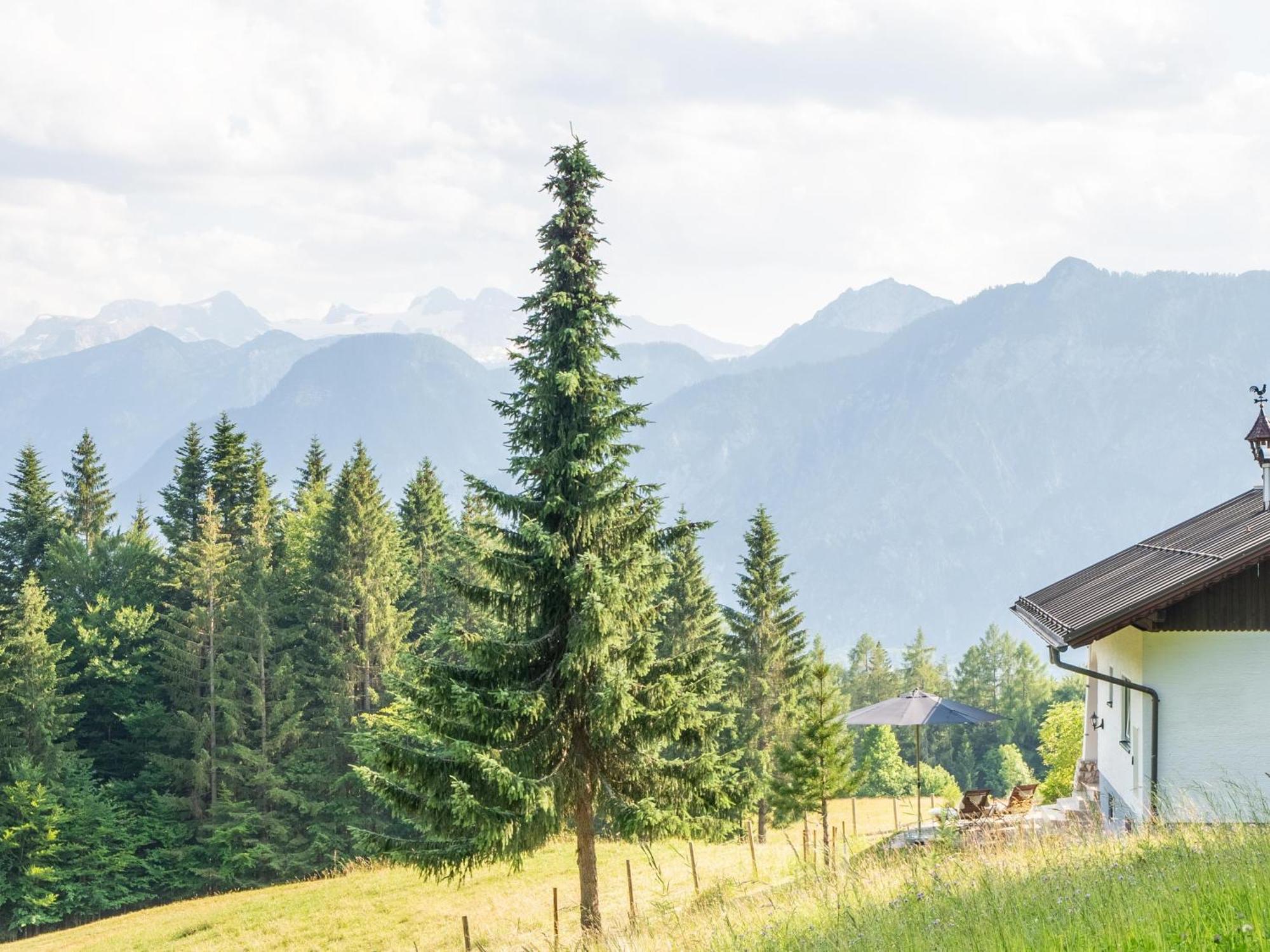 Strickerl Villa Bad Goisern Bagian luar foto